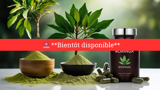 Récupération, vitalité, concentration : Révélez votre plein potentiel